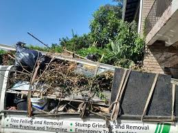 Best Dumpster Rental Services  in Earlvle, IL
