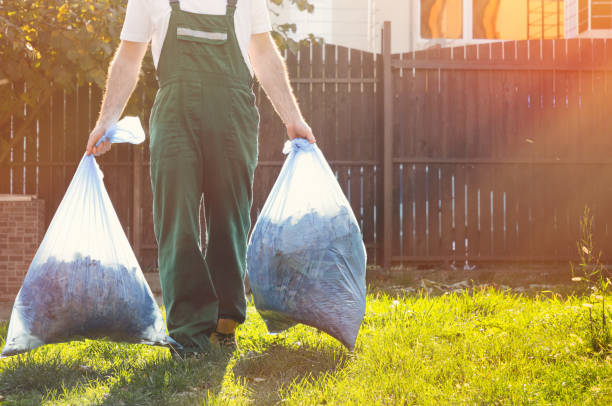 Best Demolition Debris Removal  in Earlvle, IL